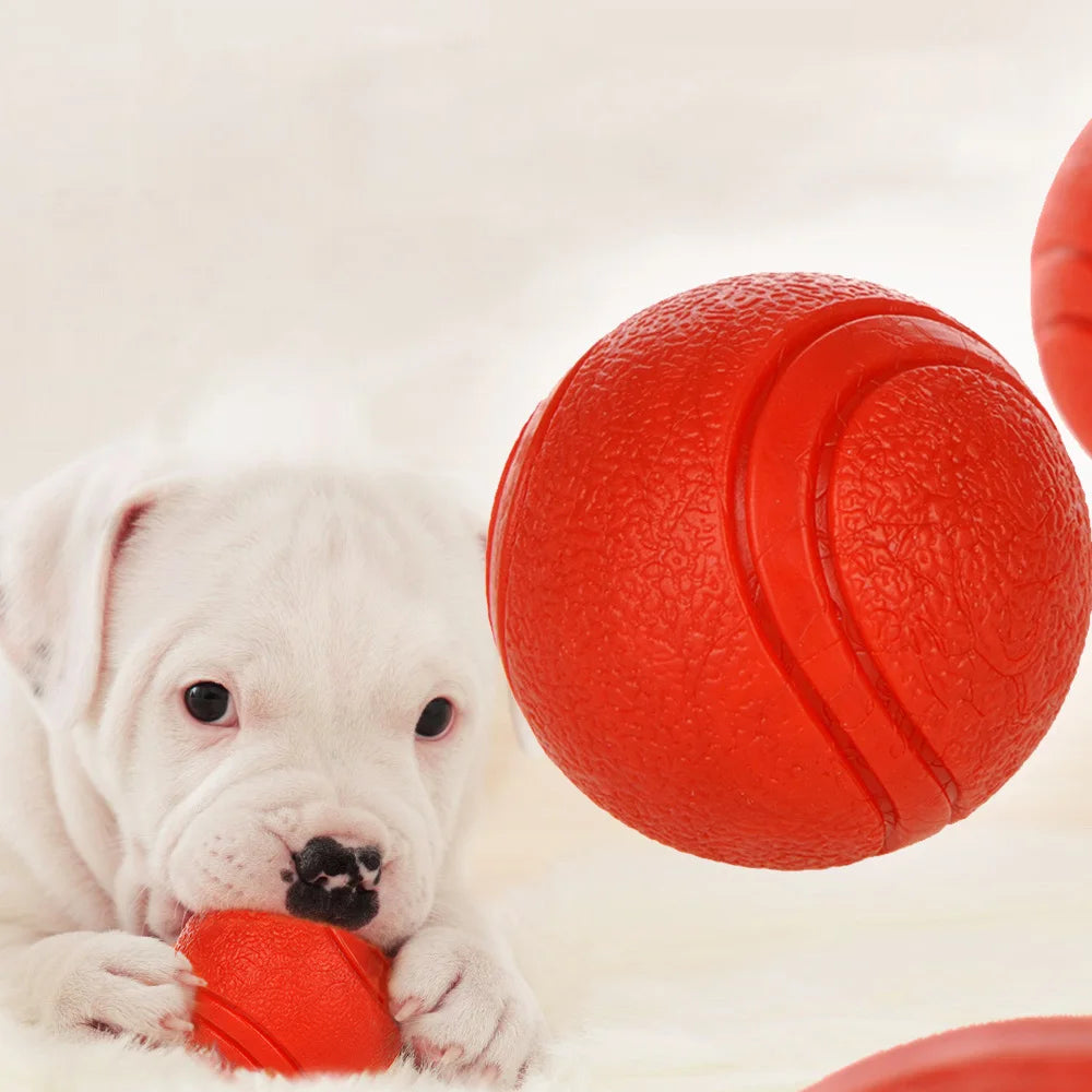 Jouet pour chien Balle en caoutchouc résistante aux morsures