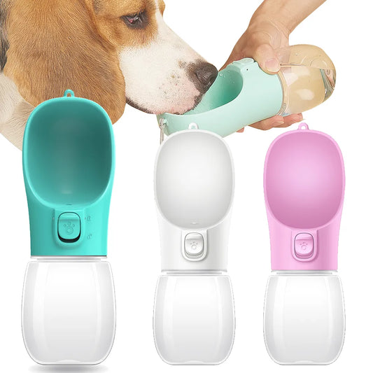 Bouteille d'eau Portable pour chiens