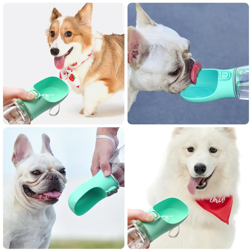 Bouteille d'eau Portable pour chiens