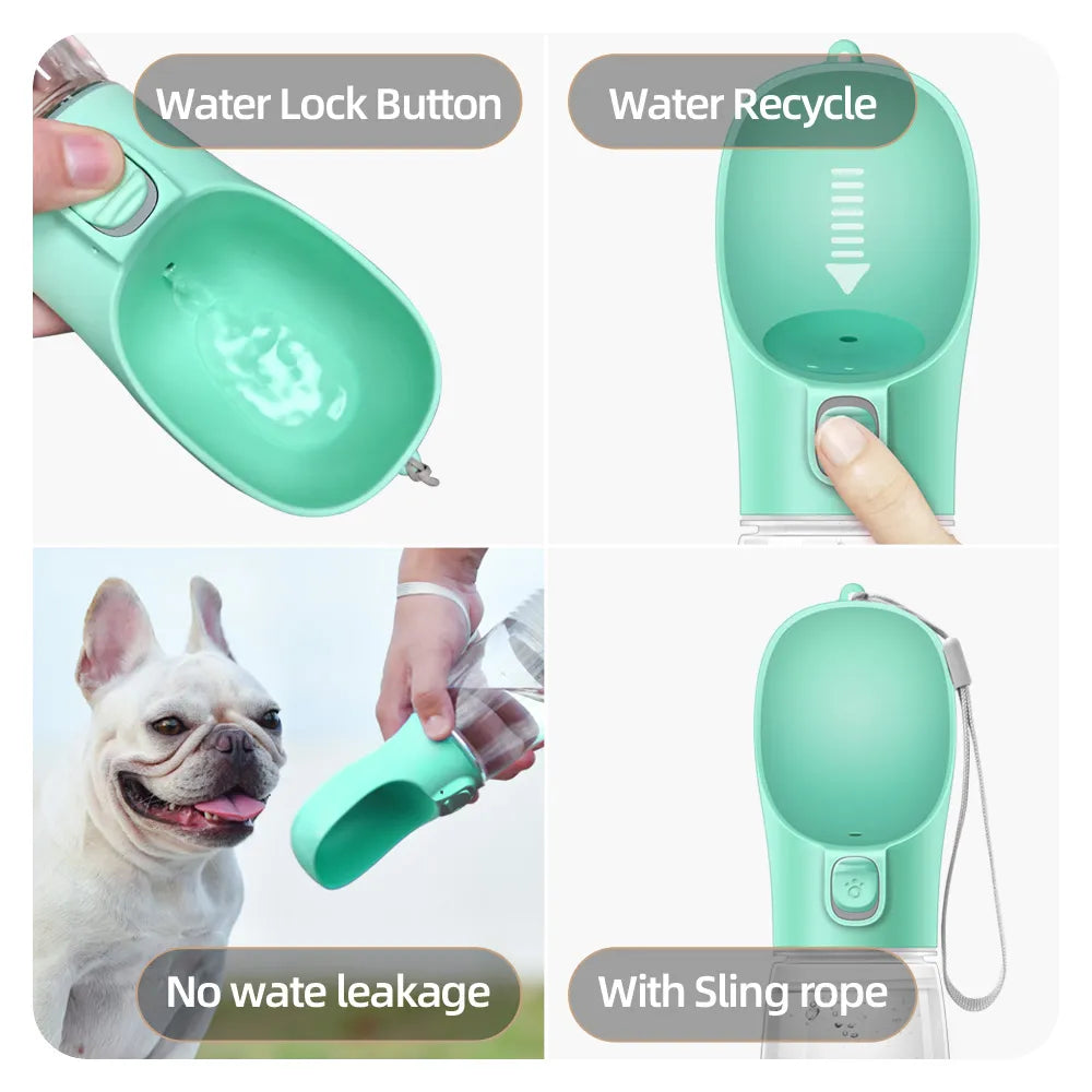 Bouteille d'eau Portable pour chiens