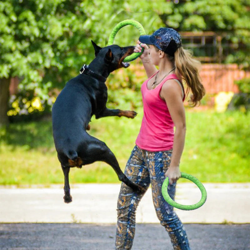 Anneau volants pour animaux de compagnie